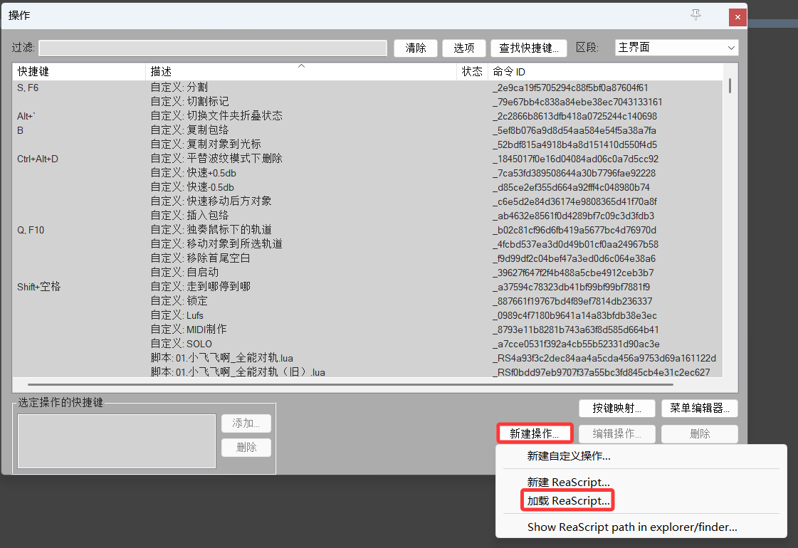 加载 ReaScript